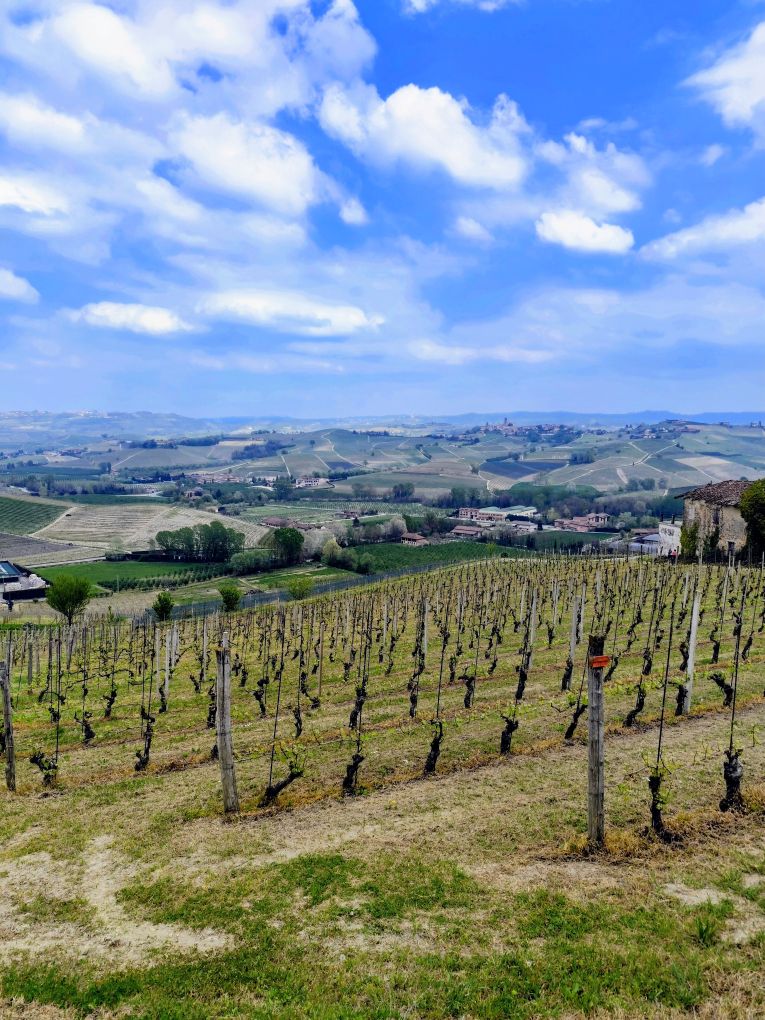 Gran tour delle Langhe con Moka!