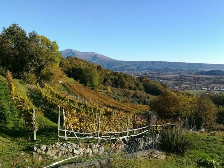 Escursione a piedi nella Morena Ovest con Moka